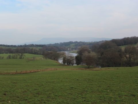 The Lower River Ribble