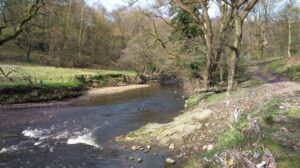 River Darwen at Hoghton Bottoms - Helen Dix