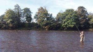 Fishing the Ribble on the Trust's ever popular Mitton beat.