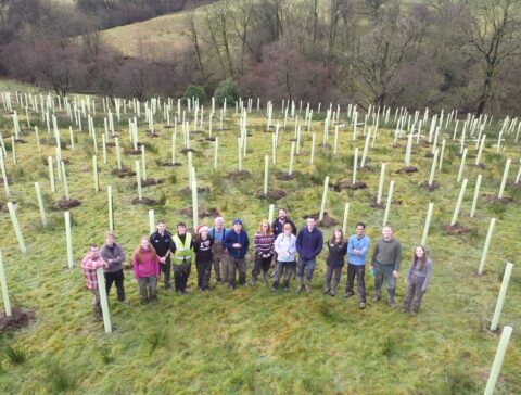 Terrific trees and wonderful woodlands- why we plant trees
