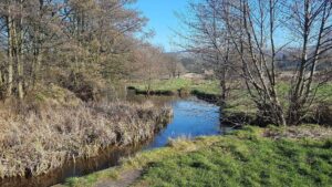 The River Ribble and it's tributaries - Ribble Rivers Trust