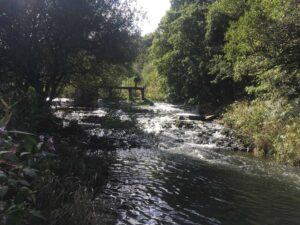 Gathurst weir is one of the barriers the project will tackle