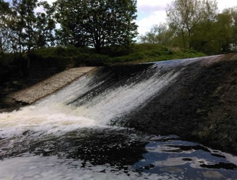 Work begins on Holland Wood fish pass