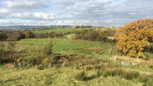 A view from Ribble Rivers Trust's latest circular walk, Park Book.