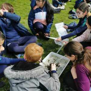 Primary school pupils on one of Ribble Rivers Trust's Trout in the Classroom outdoor sessions.