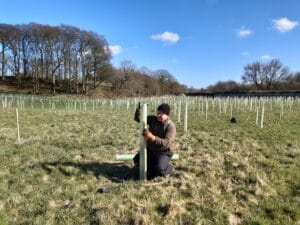 Panaz will be helping Ribble Rivers Trust deliver environmental projects in Lancashire, like this woodland scheme planted at Crown Wood, Burnley
