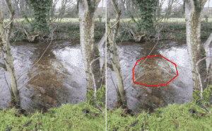 An impressive salmon redd, a great sign for the conservation of the species