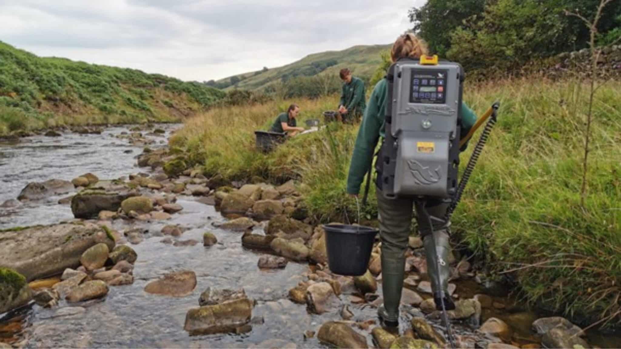 Fish monitoring: A PARRticularly dry summer