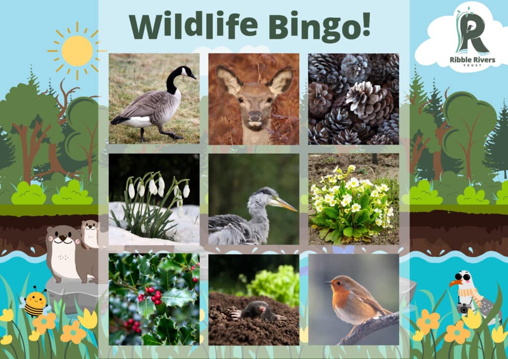 Play wildlife bingo on our family river walk