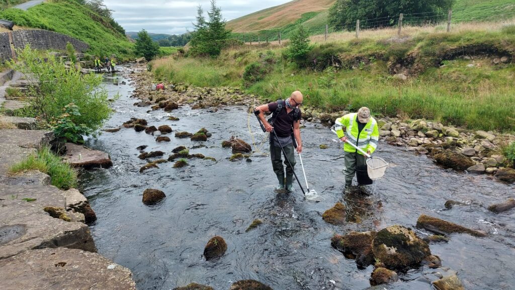 Staff completing an electrofishing survey to see how many species are in our rivers.