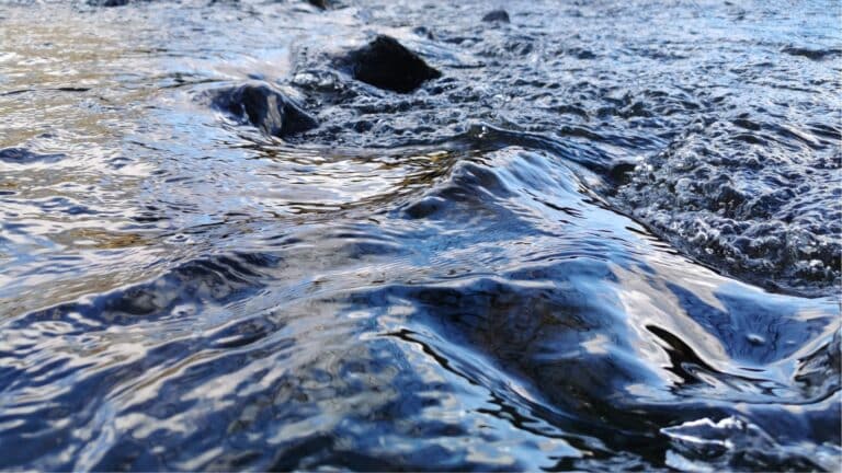 Ribble Rivers Trust - Working Together to Improve Our Rivers