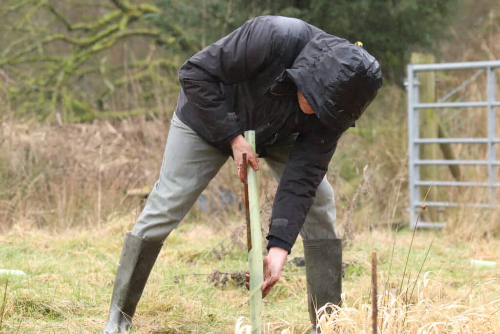 A photo showing a volunteer tree planting, an important part of river conservation