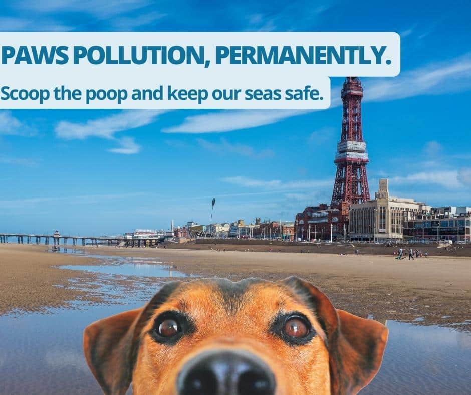 One of the posters from the campaign for cleaner beaches