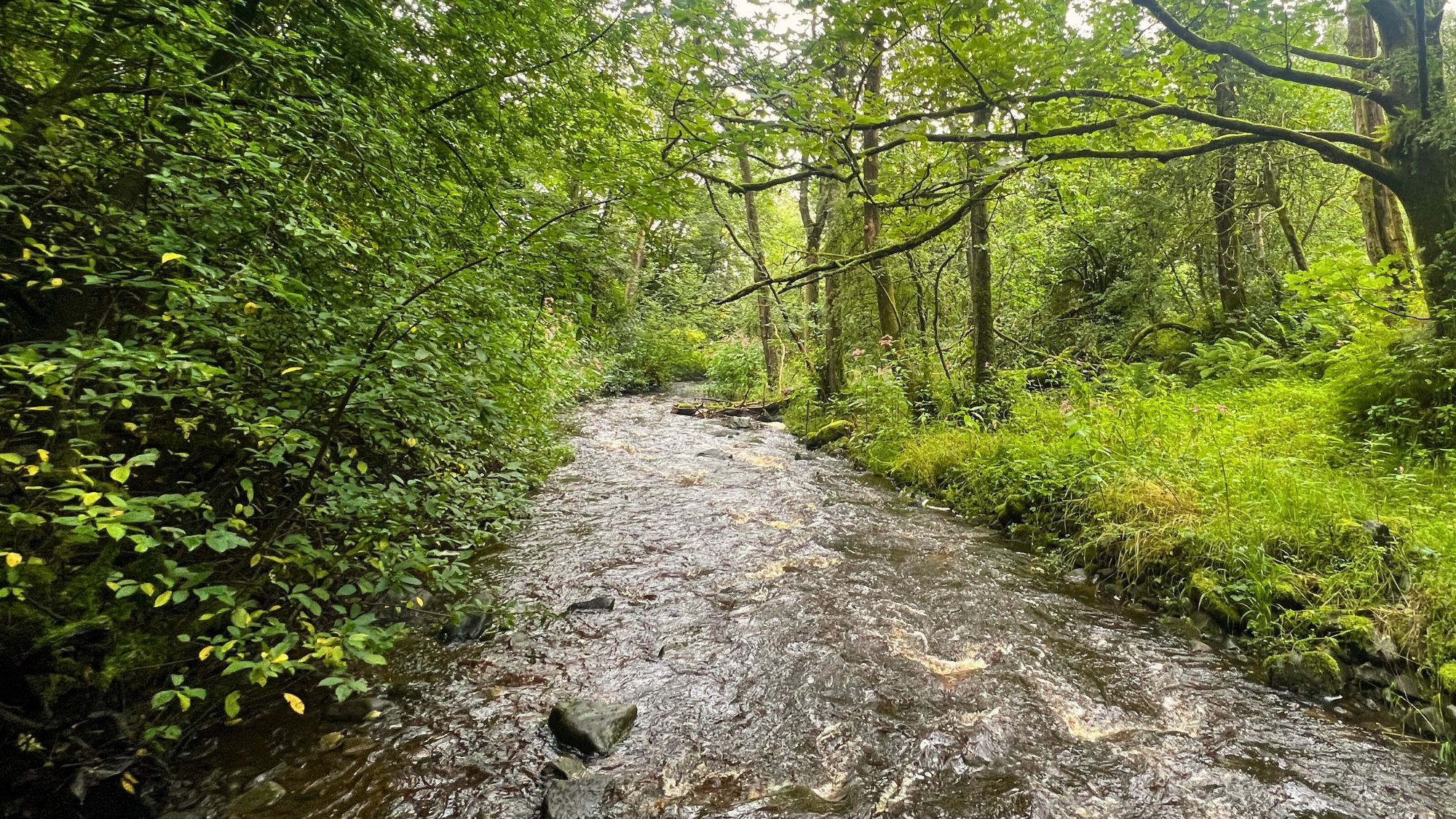 River Catchments: How They Work and Why They Matter