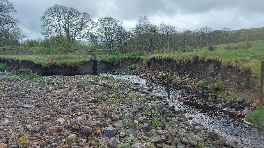 Restoring Hasgill Beck: A Brash Bundling Project for Healthy Rivers