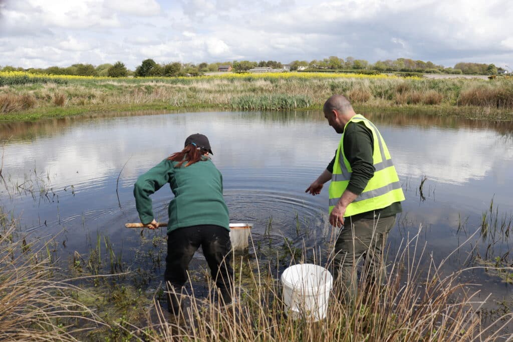 Water sampling and pond dipping at Wrea Green, one of the sites benefitting from the Species Survival Fund