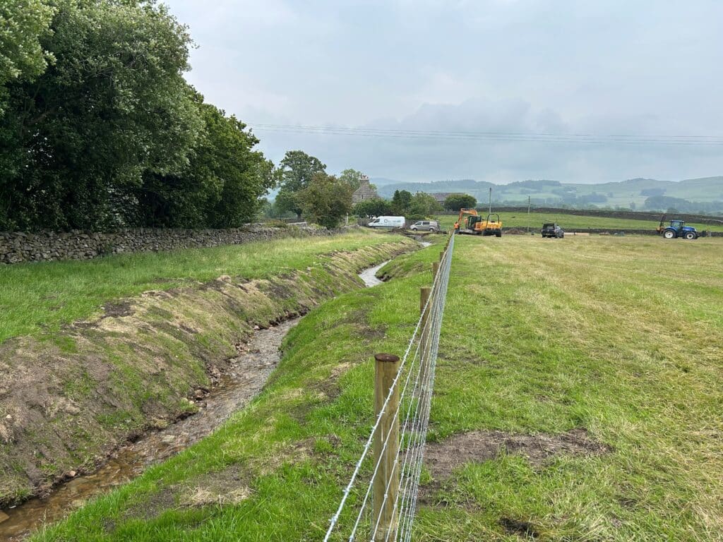 A section of deculverted and renaturalised stream at one of the sites funded by the Species Survival Fund