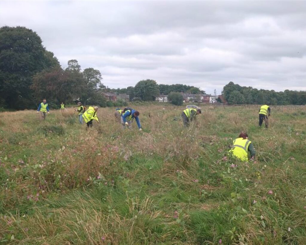 Volunteers install mulch mats around the trees at Fishwick Bottoms