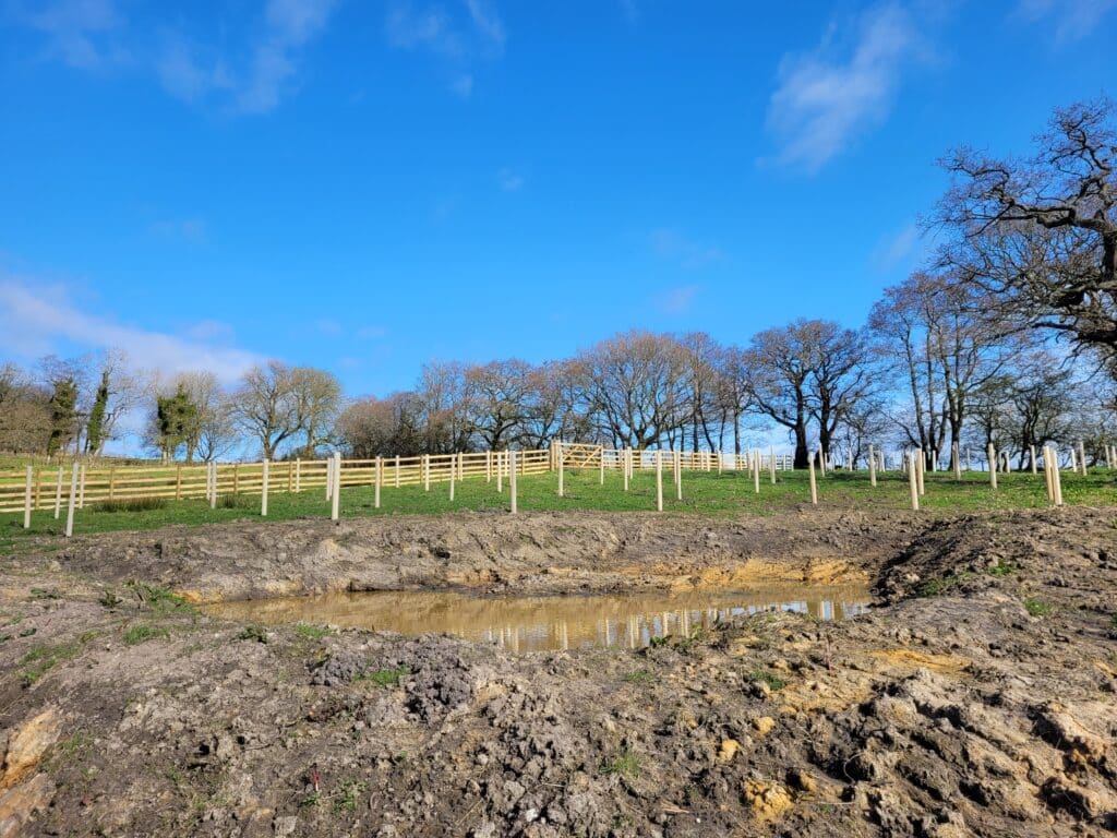The newly created wetland at Cow Ark