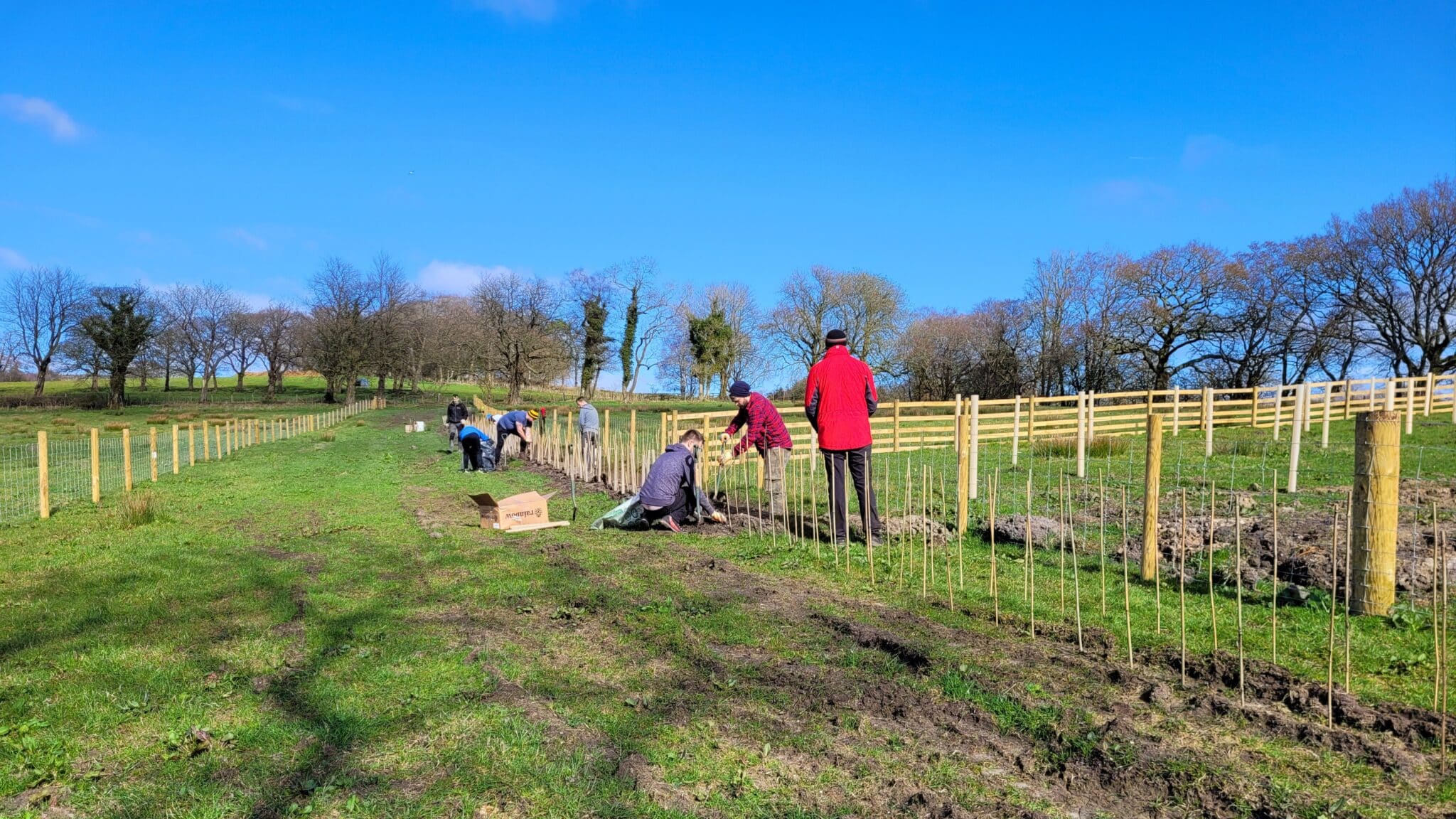 Cow Ark wetlands; creating spaces for nature, and room for rivers