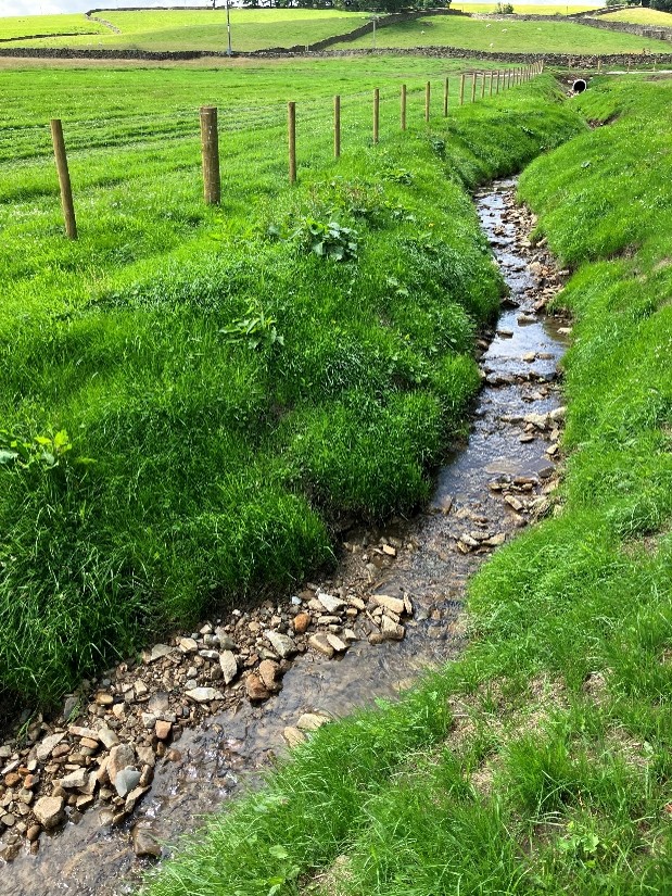The re-culverted and renaturalised Lower Storth Gill Beck