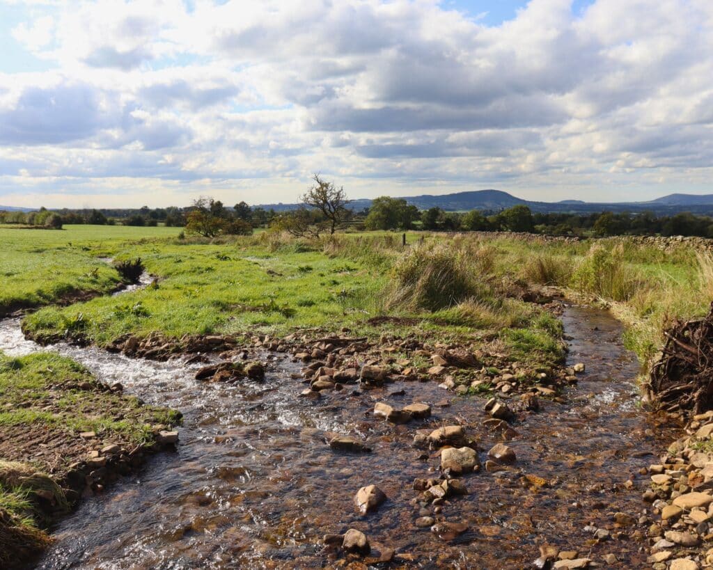 The new secondary channel at Mearley Brook.