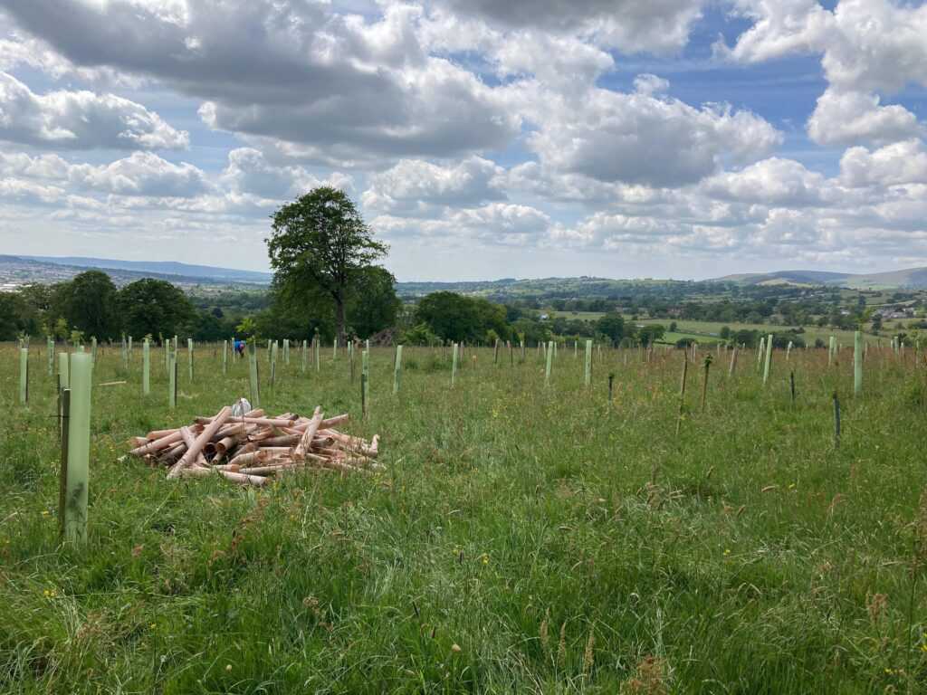 Woodland creation and woodland maintenance are major events in the Trust's calendar. 