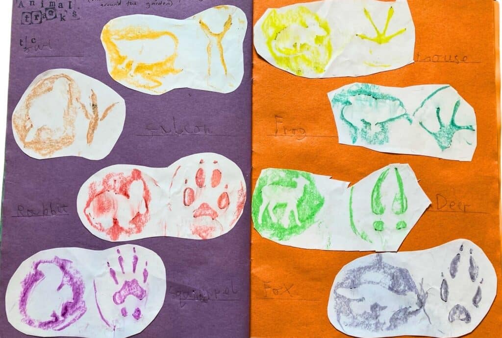 Looking for animal footprint is key to any good autumn adventure! 
