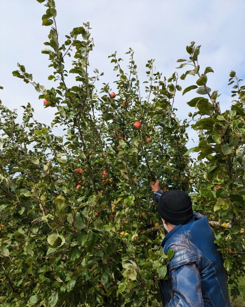 Working with local communities is a big part of the Lancashire Woodland Partnership