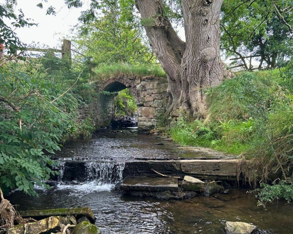 This weir on Mearley Brook will soon be passable thanks to this project.