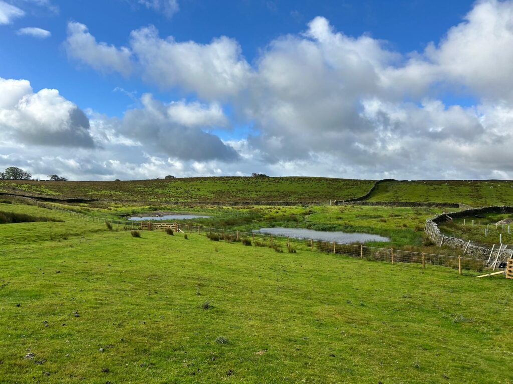 The new wetlands at Upper Storth Gill Beck