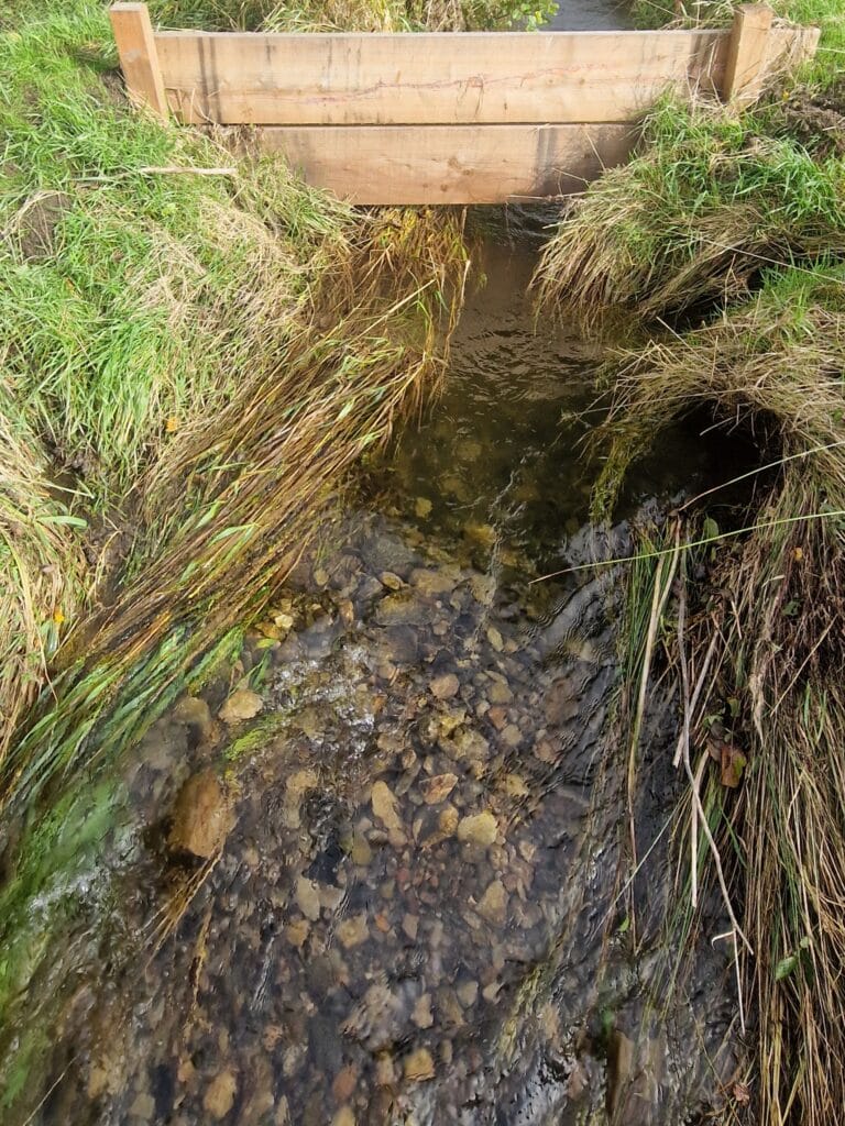 The leaky dams at Worston Brook have helped to create pool and riffle sequences, which are really important for breeding salmon and trout