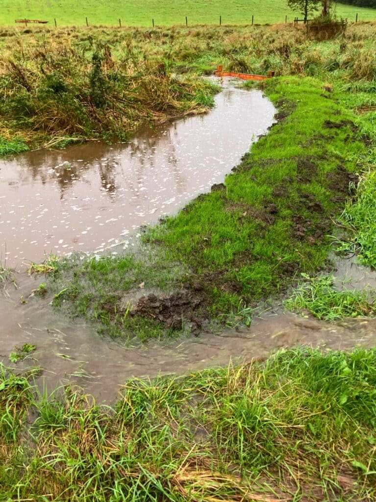 The leaky dams in action on Worston Brook. Here they are holding back most of the water, which will be released slowly, avoiding heavy flood peaks