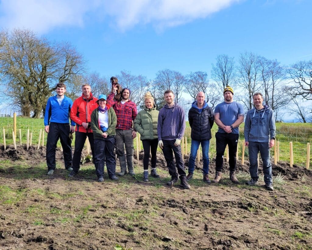 Corporate volunteers planting trees for Lancashire Woodland Connect