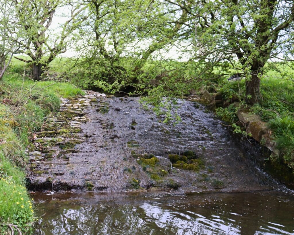 Pendleton weir before the Pendleton Fish Easement project 