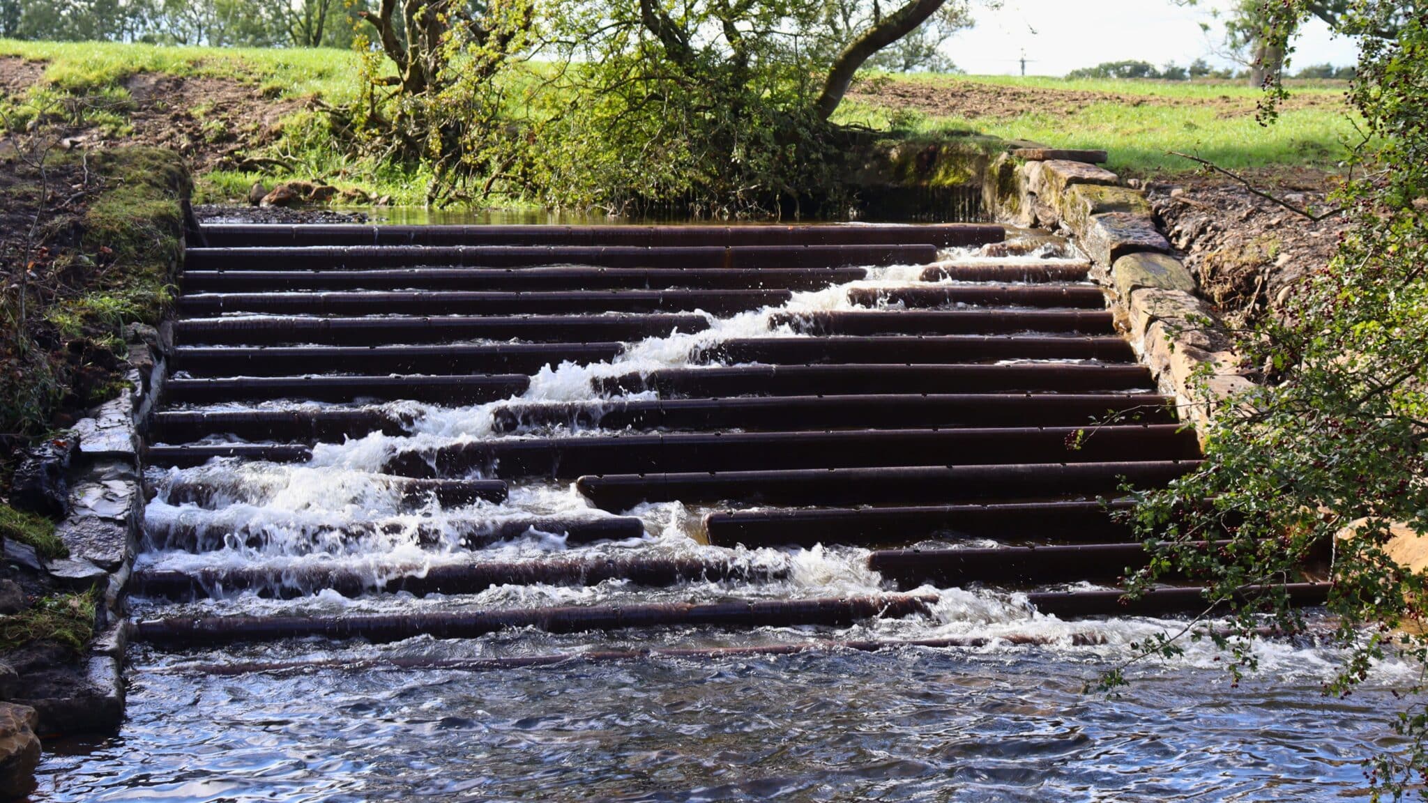 Pendleton Fish Easement