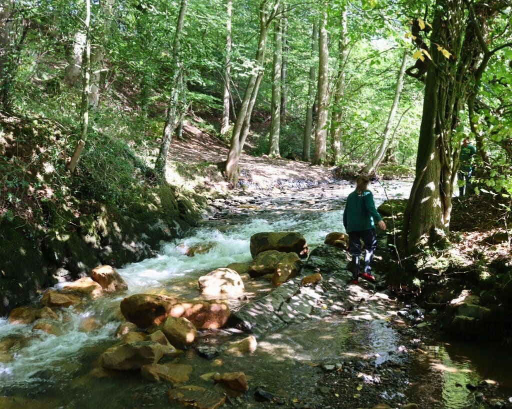 Ribble Rivers Trust staff monitoring the progress of the project at Downham Mill