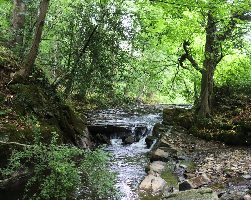 The Downham Mill weir before work commenced.