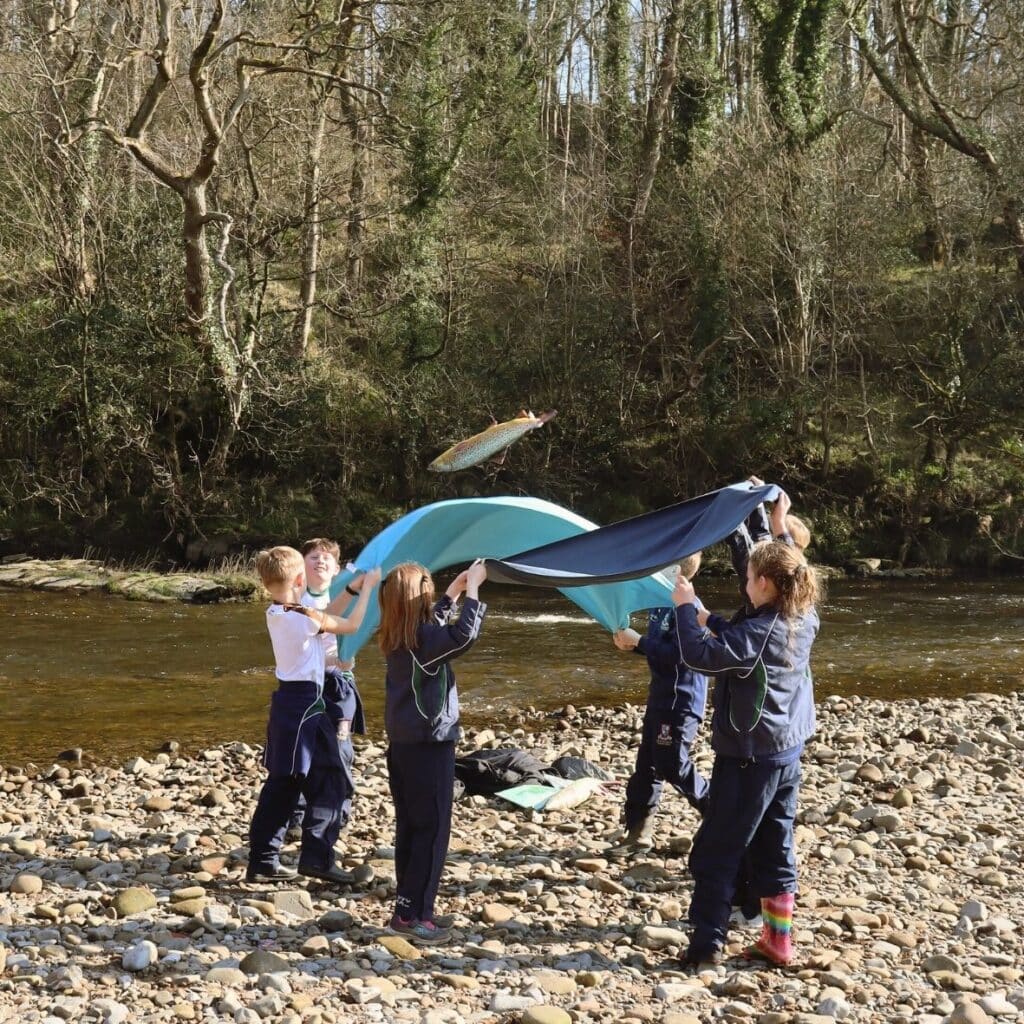 School children learn about the declining salmon in fun and imaginative ways. here they play the fish migration game by the River Hodder. 