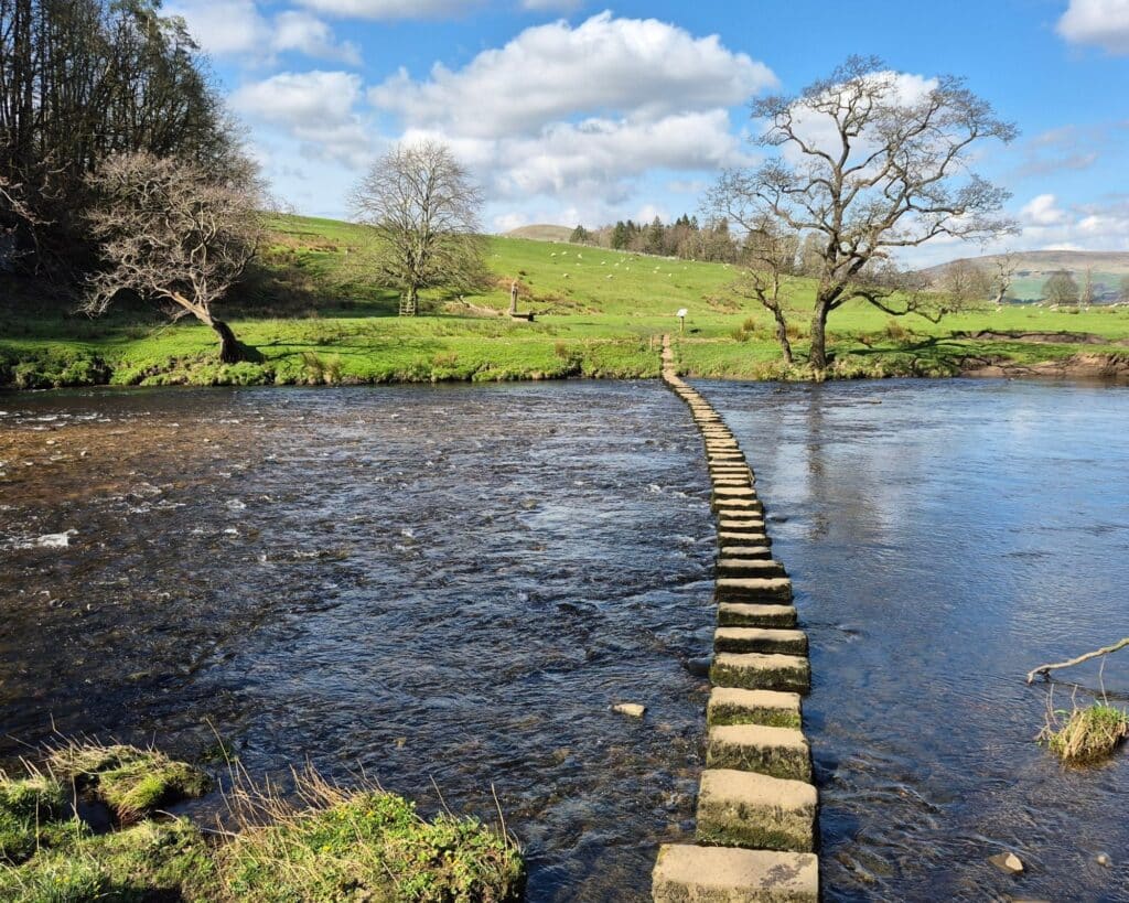 A series of stepping stones cross the river Hodder, reaching across to the opposite river bank where sheep graze. Hodder Together for Salmon has access at heart of the project.