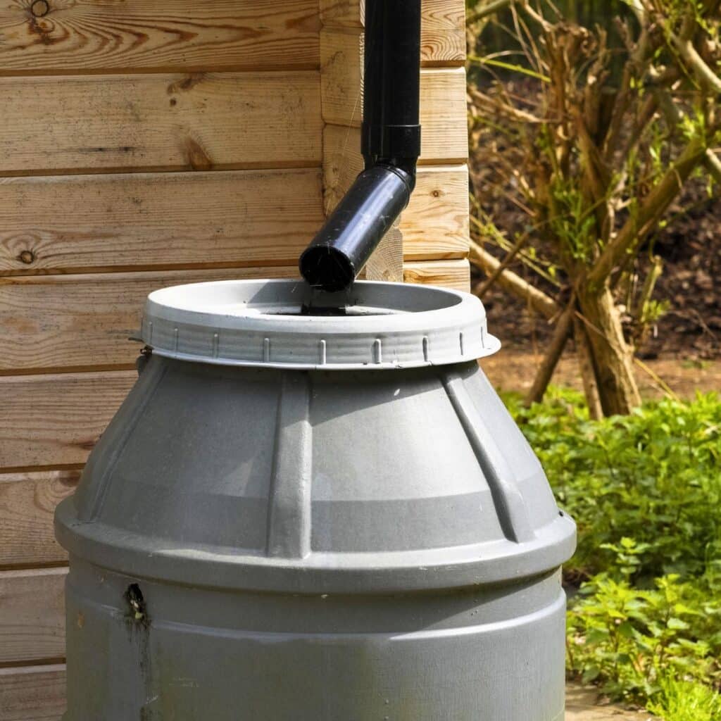 A water butt in a garden. Collecting water provides a water source when it's scarce, and collects water to keep it our of rivers when flood risk is high. 