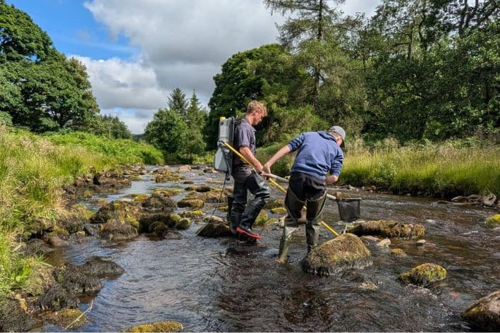 Ribble Rivers Trust staff electrofishing Langden Brook