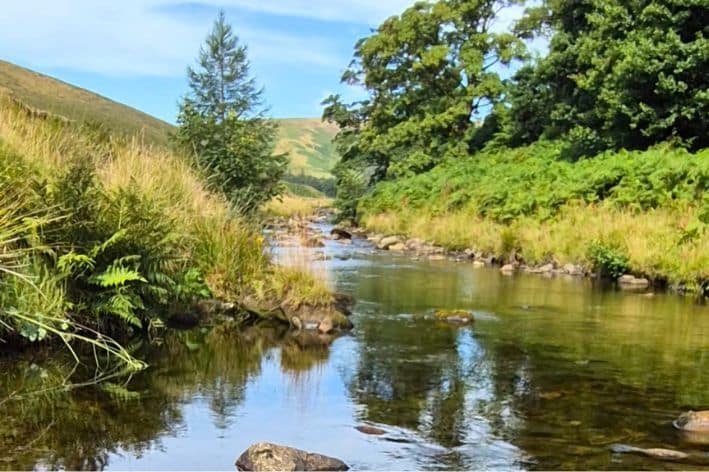 Langden Brook