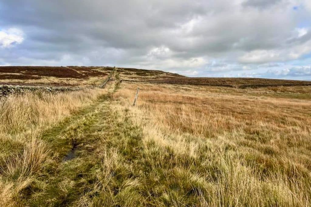 No two farms are the same, and many farms combine a whole range of land uses and habitat types.