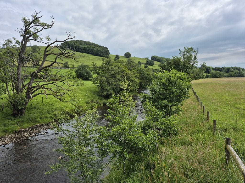 Practical farm advice doesn't just help the farmer, it helps wildlife and rivers to recover too,