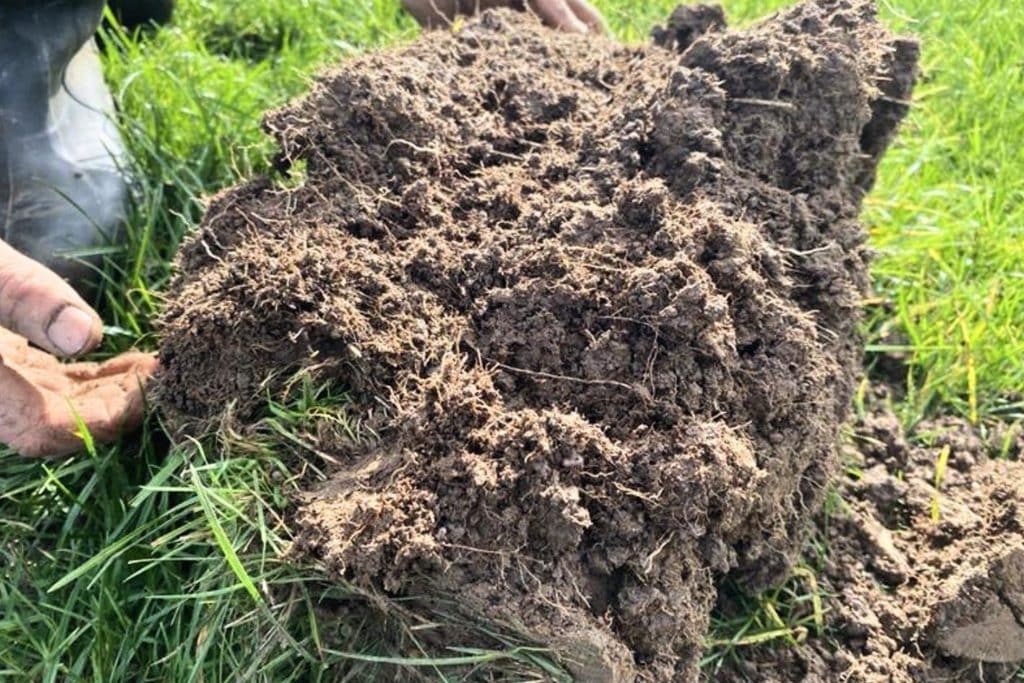 Practical farm advice takes into account many factors including soil